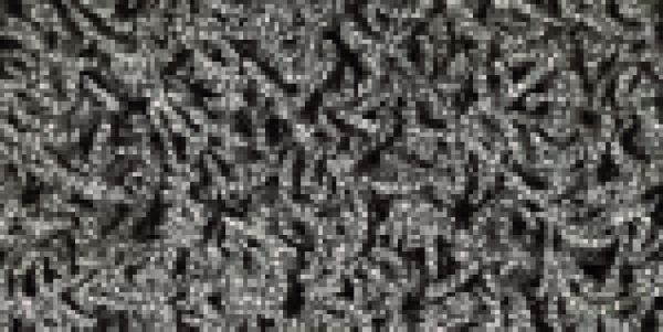 Langfloor
